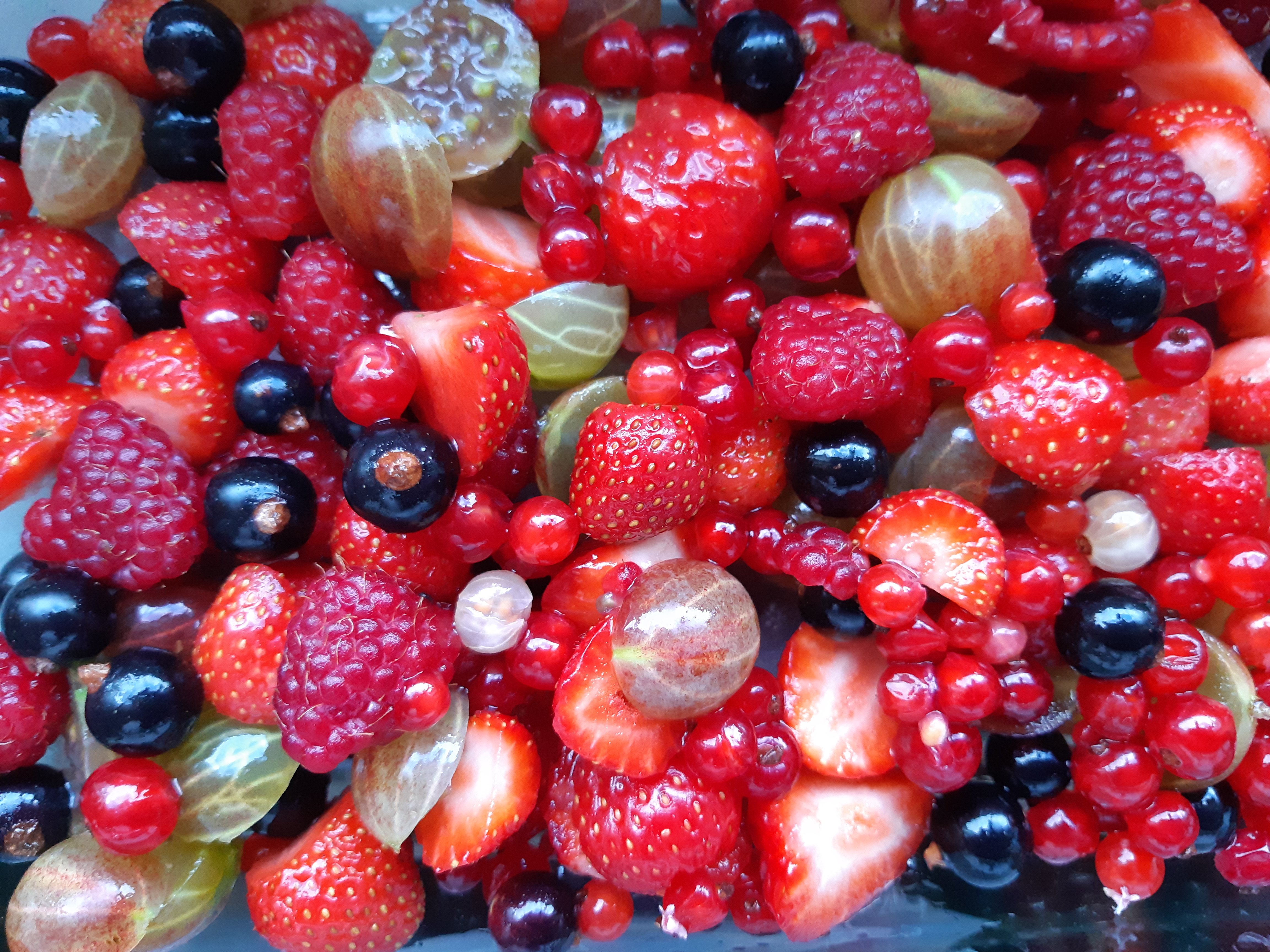 fruitoogst